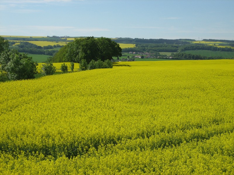 Landschaft